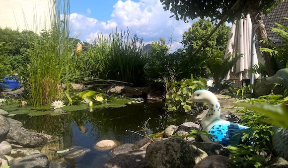 Schöner Garten, Teich