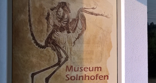 Museum von Solnhofen - Archaeopteryx